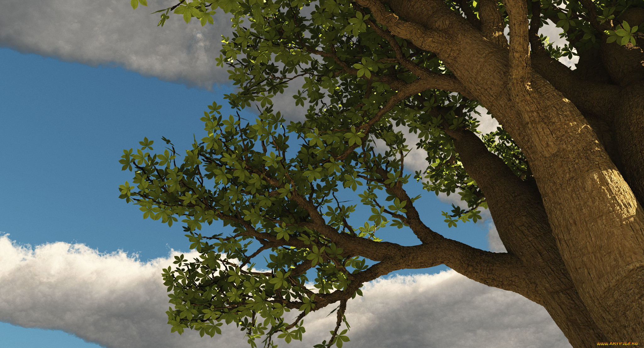 3, , nature, landscape, , 